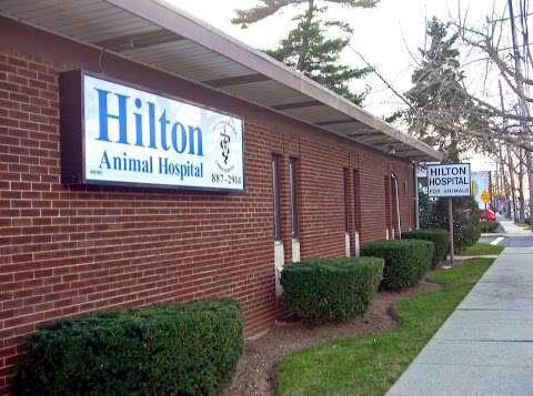 Jobs in Hilton Hospital for Animals - reviews